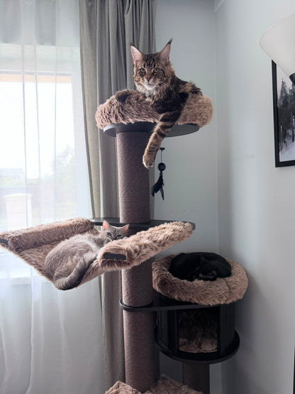 Pisica relaxata in culcusul superior al ansamblului ESPRESSO CLOUD LARGE – Meraki Home, cu hamac suspendat si casuta pentru odihna.