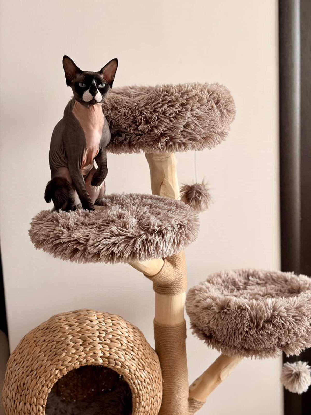 Pisica Sphynx asezata pe platforma superioara a ansamblului WOODLAND COCOON – Meraki Home, cu culcusuri pufoase si cos suspendat impletit.