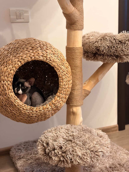 Detaliu ansamblu WOODLAND COCOON – Meraki Home, cu cos suspendat impletit, platforma pufoasa si structura din lemn natural de par.