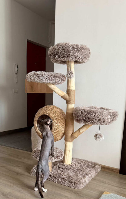 Pisica catarandu-se pe ansamblul WOODLAND COCOON – Meraki Home, cu platforme pufoase, cos suspendat si structura din lemn natural.