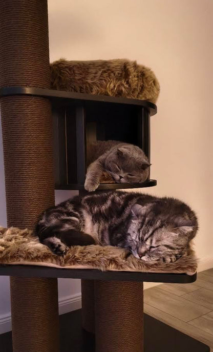 Pisici odihnindu-se pe platforma si in casuta cilindrica a ansamblului ESPRESSO CLOUD LARGE – Meraki Home.
