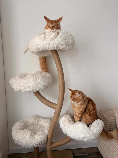 Doua pisici roscate relaxate in culcusurile ansamblului DAISY CANOPY – Meraki Home, amplasate la diferite inaltimi pe structura metalica.