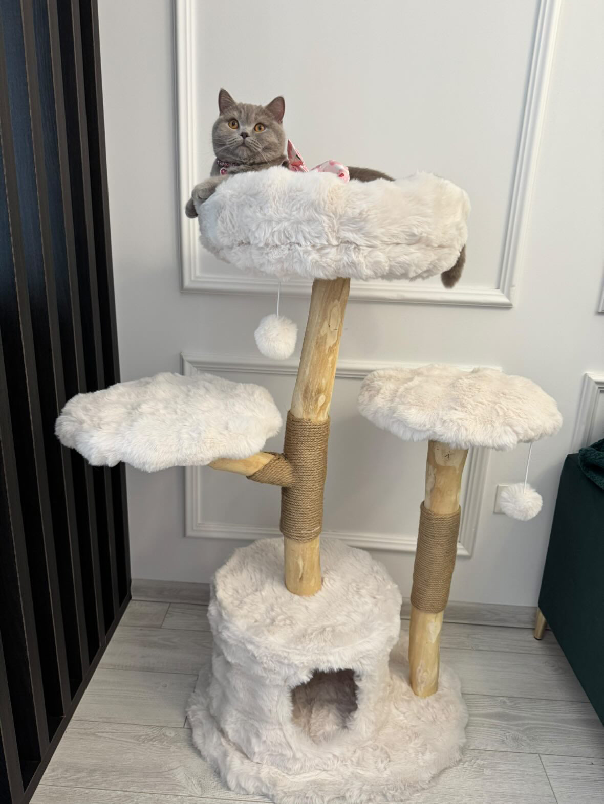 Pisica relaxata in culcusul superior al ansamblului SERENE LOFT – Meraki Home, cu platforme pufoase si ramuri naturale din lemn de par