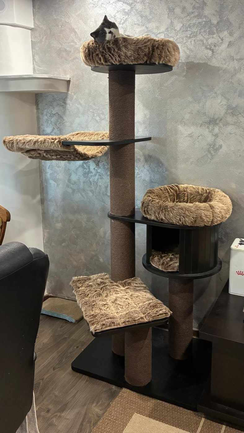 Pisica asezata in culcusul superior al ansamblului ESPRESSO CLOUD LARGE – Meraki Home, cu platforme de observatie si hamac pufos.