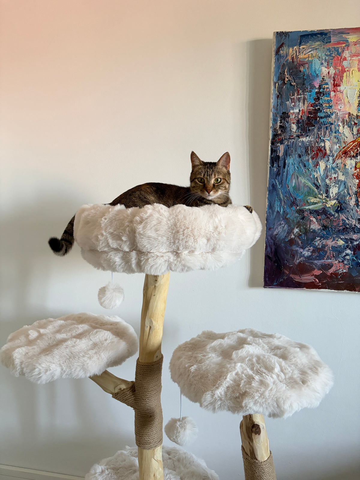 Pisica relaxata pe platforma superioara a ansamblului SERENE LOFT – Meraki Home, cu culcusuri pufoase si structura din lemn natural.
