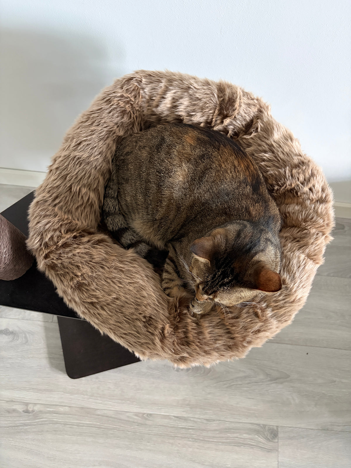 Pisica odihnindu-se in culcusul pufos al ansamblului ESPRESSO CLOUD SMALL – Meraki Home, cu margini moi si forma confortabila.