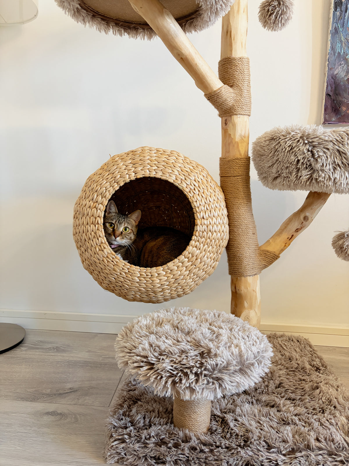 Ansamblu WOODLAND COCOON – Meraki Home, cu cos impletit pentru pisici, platforme pufoase si suport din ramura naturala de par.