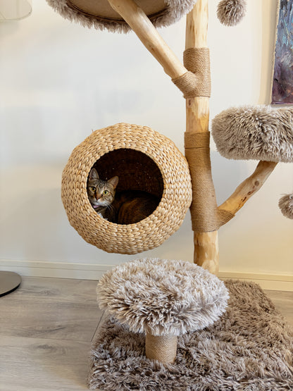 Ansamblu WOODLAND COCOON – Meraki Home, cu cos impletit pentru pisici, platforme pufoase si suport din ramura naturala de par.