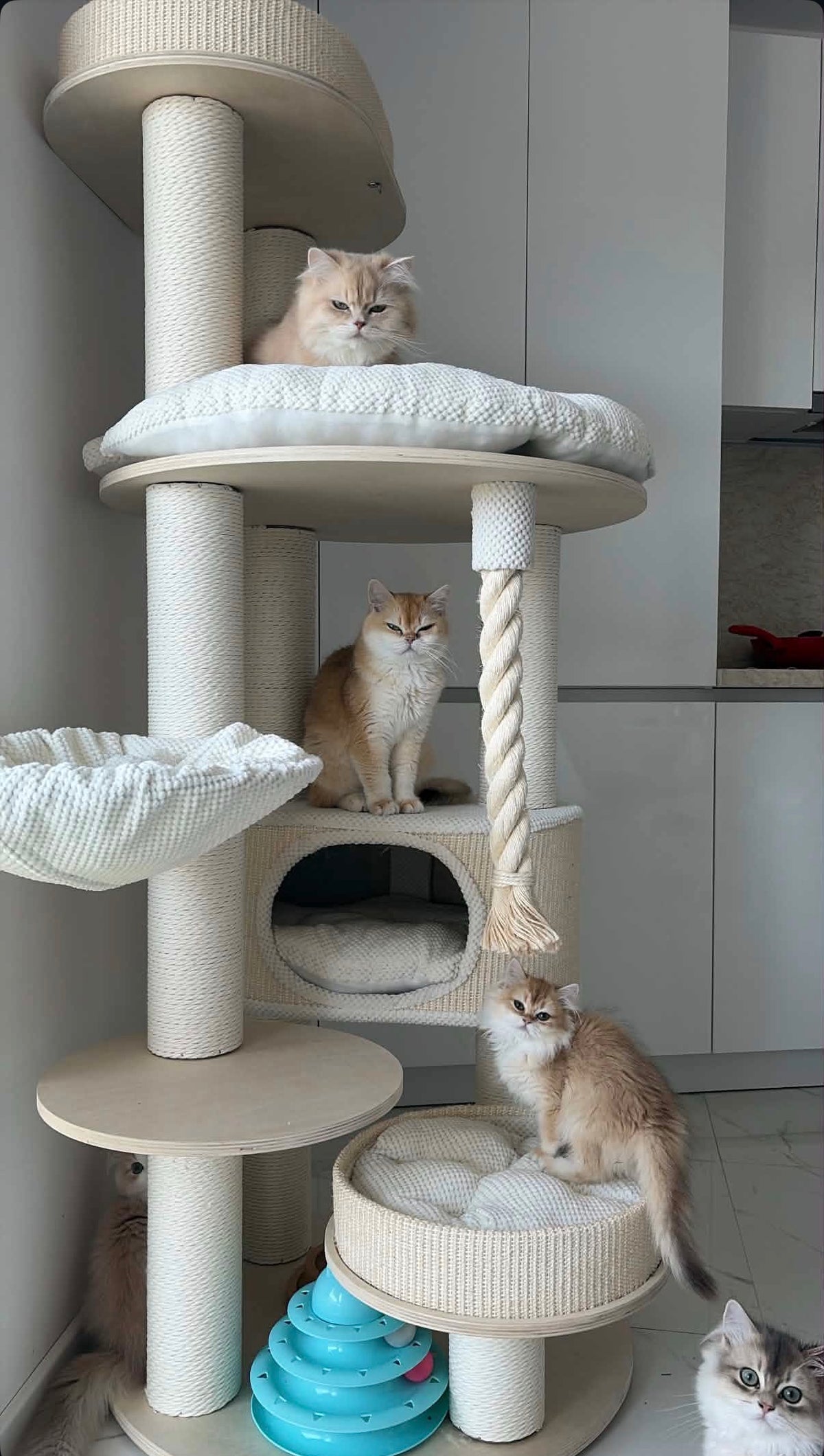 Ansamblu pentru pisici IVORY LOFT TOWER – Meraki Home, cu pisici pe platformele de odihna, in hamac si in culcusul inferior.
