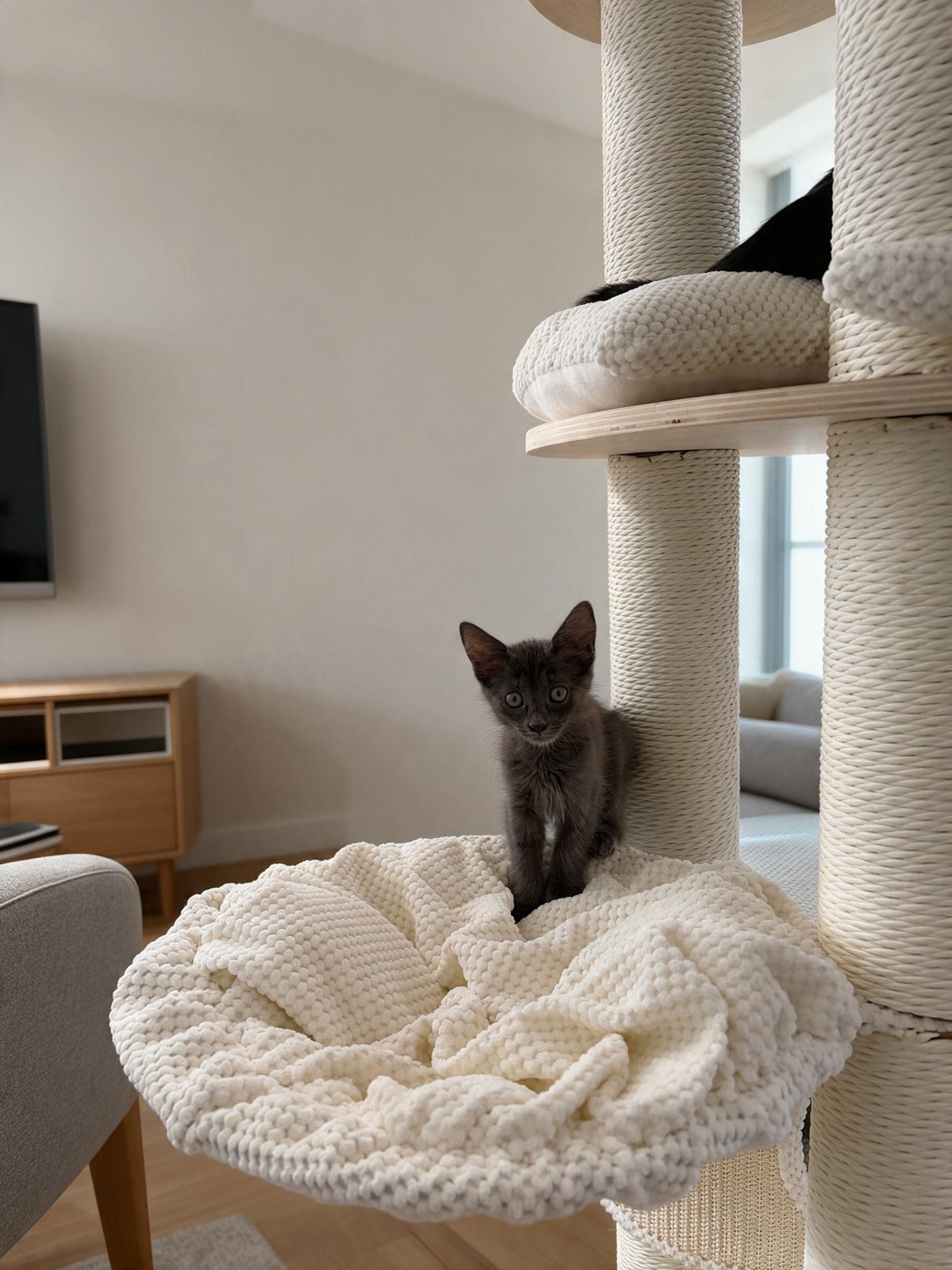 Pisica asezata in culcusul suspendat al ansamblului IVORY LOFT TOWER – Meraki Home, cu margini moi si stalpi din sisal.