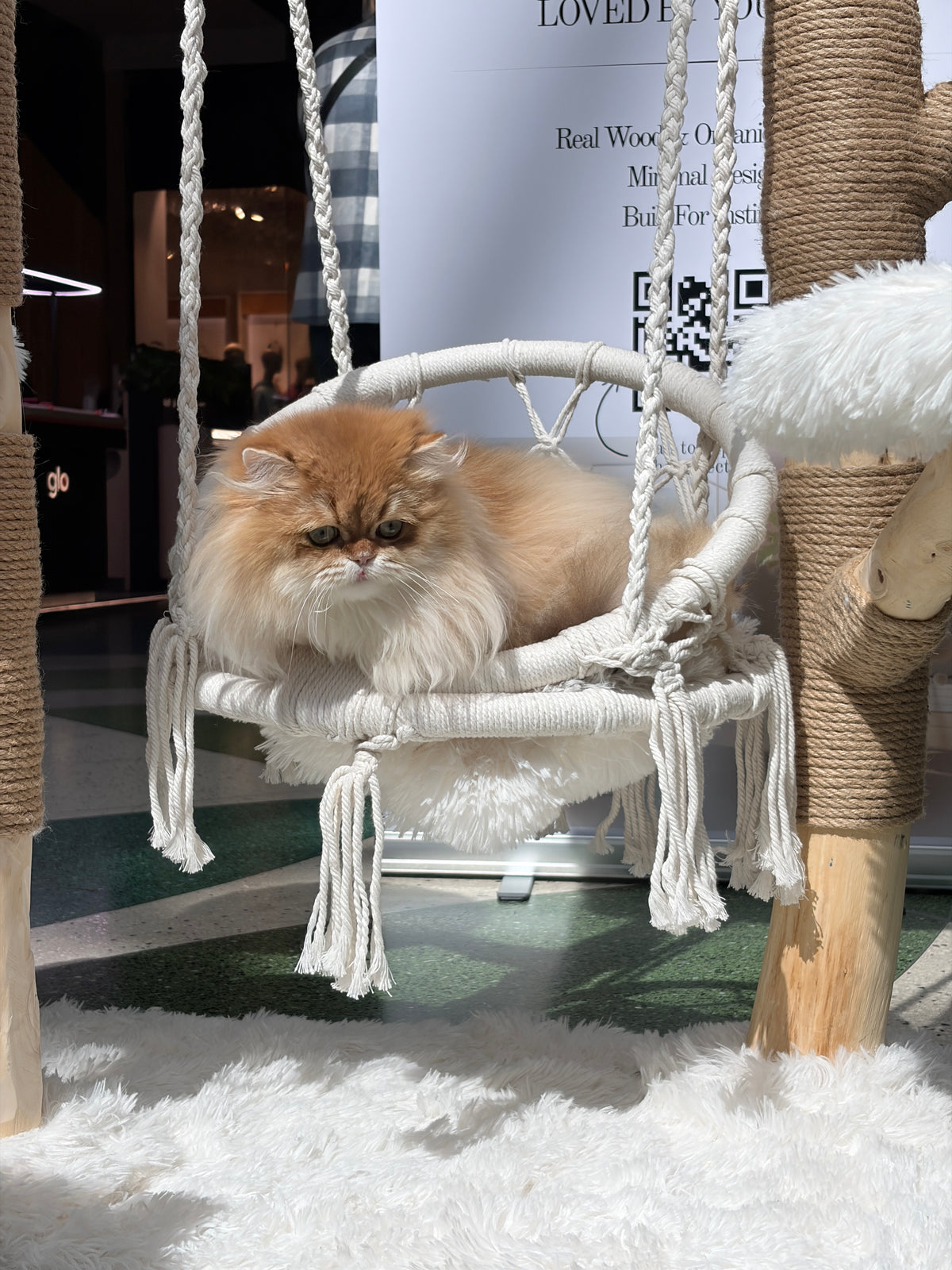 Pisica relaxata in leaganul suspendat al ansamblului SWING NEST – Meraki Home, cu platforme pufoase si structura din lemn natural.