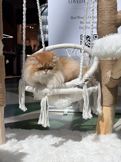 Pisica relaxata in leaganul suspendat al ansamblului SWING NEST – Meraki Home, cu platforme pufoase si structura din lemn natural.