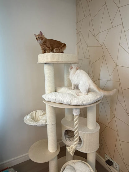 Doua pisici relaxate pe platformele ansamblului IVORY LOFT TOWER – Meraki Home, cu spatii de odihna la diferite inaltimi.