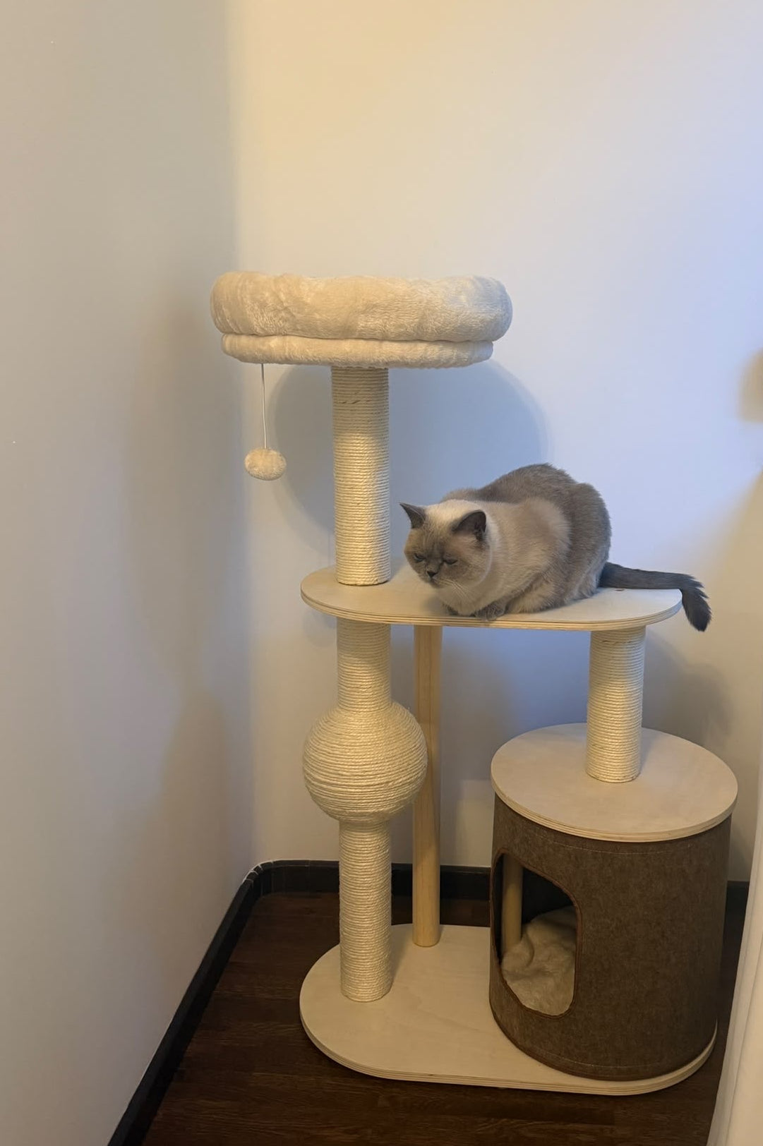 Pisica explorand platformele de catarat ale ansamblului IVORY HAVEN – Meraki Home, cu stalpi de zgariat si minge din sisal.